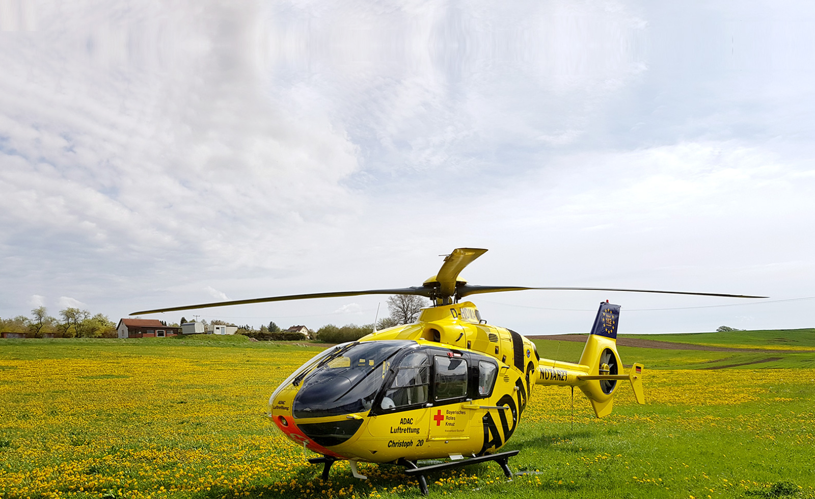 Gelber Rettungshubschrauber der ADAC Luftrettung auf blühender Wiese neben Feldern, Start-/Landeplatz.