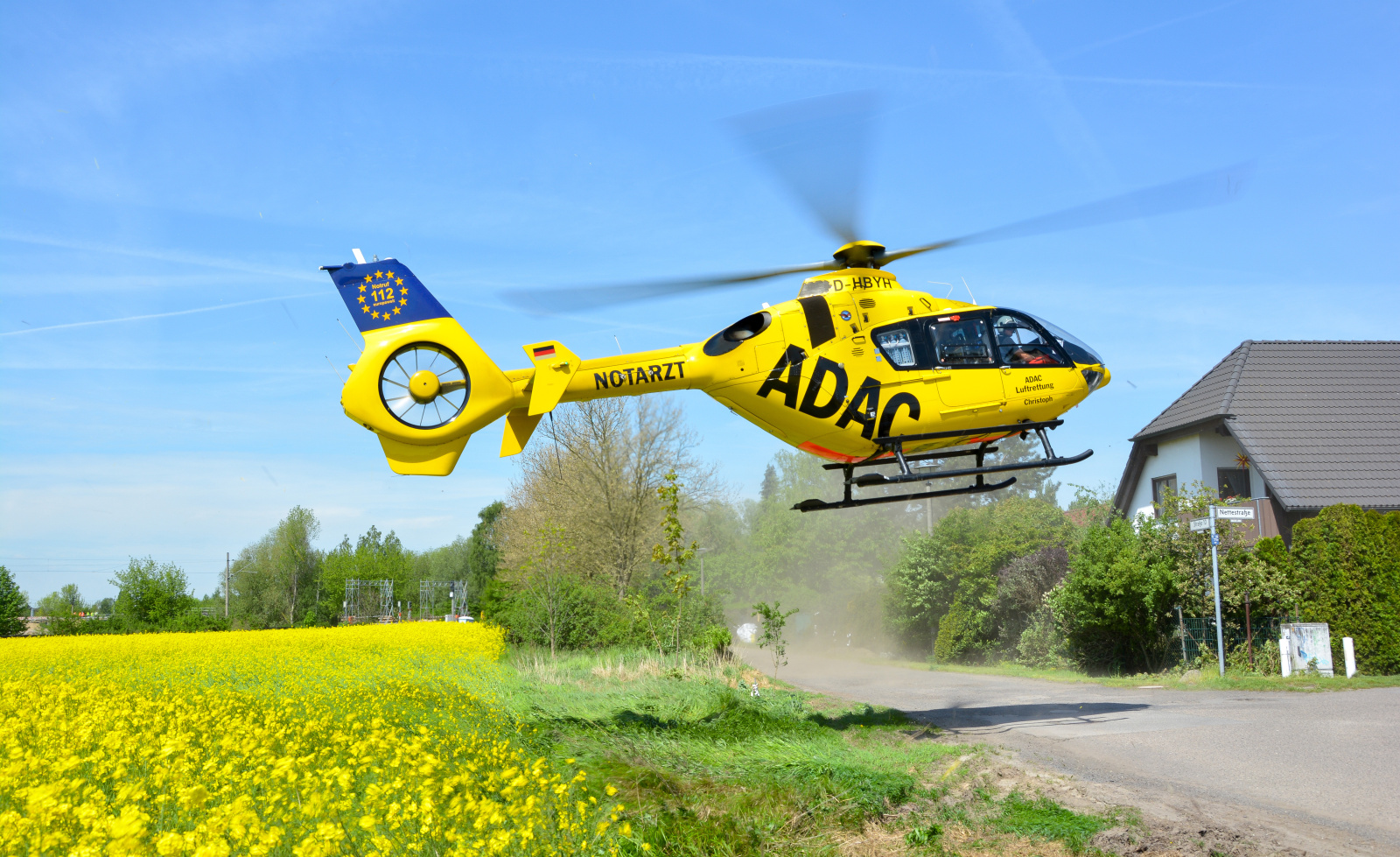 Gelber ADAC-Rettungshubschrauber der ADAC Luftrettung schwebt knapp über einer Landstraße neben einem Rapsfeld, Staub wirbelt auf.